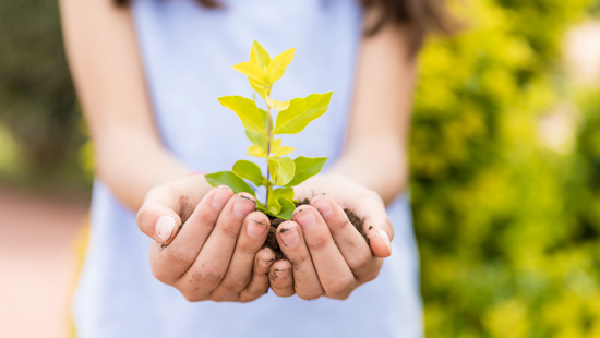 Young girl holding plant